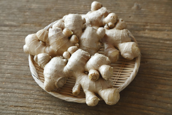 農家直送！高知県産 囲い生姜